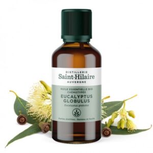 Eukaliptus globulus BIO 50ml